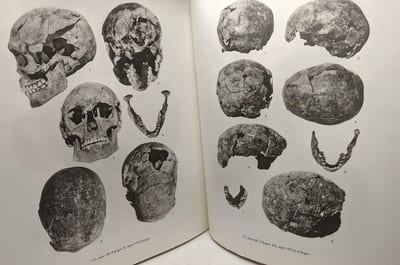 Étude anthropoligue des nécropoles d'Argos - contribution à l'étude des populations de la Grèce Antique - Etudes Péloponnésiennes III école française d'Athènes