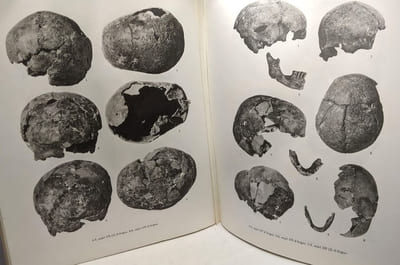 Étude anthropoligue des nécropoles d'Argos - contribution à l'étude des populations de la Grèce Antique - Etudes Péloponnésiennes III école française d'Athènes