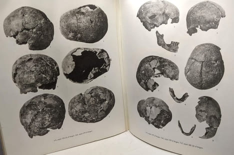 Étude anthropoligue des nécropoles d'Argos - contribution à l'étude des populations de la Grèce Antique - Etudes Péloponnésiennes III école française ...