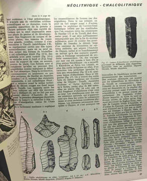 Chypre à l'aube de son histoire - Archéologie Vivante Chypre Vol. II N°3 Mars - Mai 1969 / Collection du musée de Chypre du néolithique à l'âge de ...