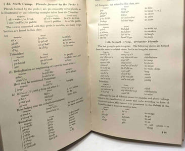 Handbook of american indian languages - PART 1 with illustrative sketches - Bureau of American ethnology Bulletin n°40 / Smithsonian Institution