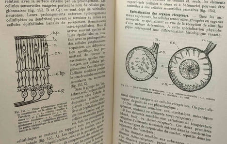 Biologie animale. Abeloos M