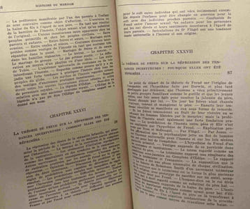Histoire du mariage VI - les théories de l'inceste les bases biologiques du mariage / Bibliothèque scientifique