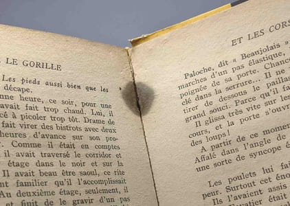 Le Gorille se mange froid (1955) + Entre le Gorille et les Corses (1956) - 2 Livres collection "Série Noire"