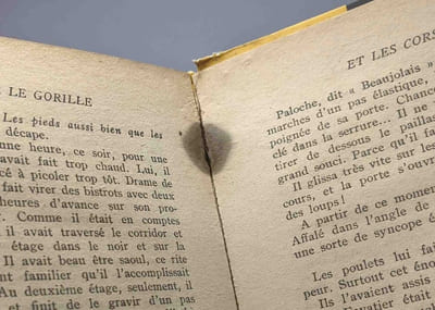 Le Gorille se mange froid (1955) + Entre le Gorille et les Corses (1956) - 2 Livres collection "Série Noire"