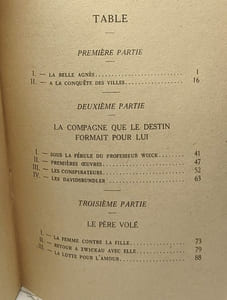 Les amours de Schumann