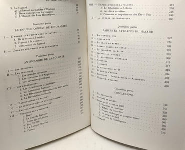 Le nez de cleopatre ou le sens de l'histoire