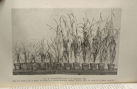 Agrobiologie - génétique sélection et production des semences. T. Lyssenko