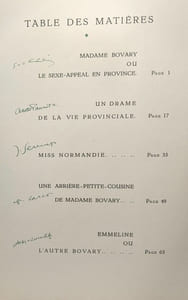 Les incarnations de Madame Bovary