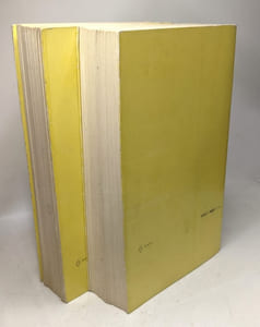 Histoire de la guerre froide (2 vol.) I. de la Révolution d'octobre à la guerre de Corée II. de la guerre de Corée à la crise des alliances 1950-1967