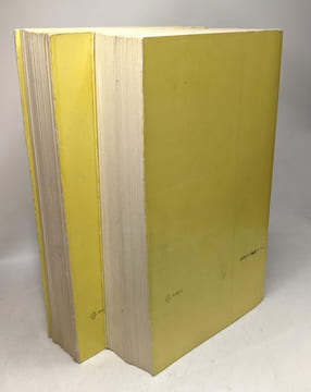 Histoire de la guerre froide (2 vol.) I. de la Révolution d'octobre à la guerre de Corée II. de la guerre de Corée à la crise des alliances 1950-1967. ...