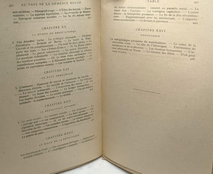 Au pays de la démence rouge - La révolution russe (1917-1918). De Chessin Serge