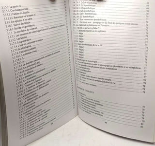 Phonèmes et graphèmes du pansystème de Tamazivt