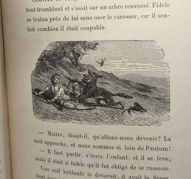 Nouveaux contes bleus - Briam le fou Petit homme gris deux exorcistes zerbin pacha berger perlino sagesse des nations chateau de la vie - Dessins:: ...