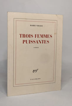 Trois femmes puissantes.Drei starke Frauen französische Ausgabe: Ausgezeichnet mit dem Prix Goncourt 2009. NDiaye Marie