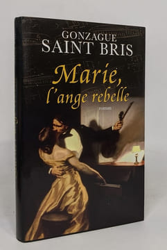 Marie l'ange rebelle. Despain Bree