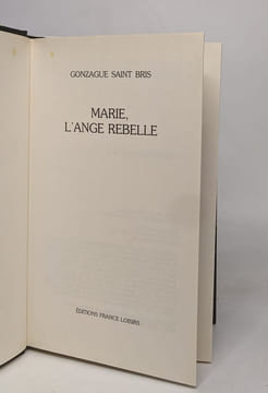 Marie l'ange rebelle. Despain Bree