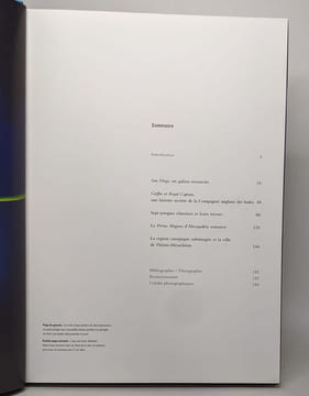 Trésors engloutis: Journal de bord d'un archéologue. Goddio Franck Constanty Hélène