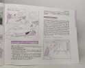 ACTIVITES CORPORELLES D'EXPRESSION A L'ECOLE MATERNELLE ET A L'ECOLE ELEMENTAIRE. Collectif