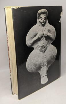 L'archéologie de la sexualité. Fischauer Paul