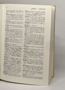 Dictionnaire des noms de famille et prénoms de france