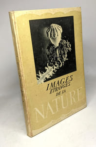 Images etranges de la nature
