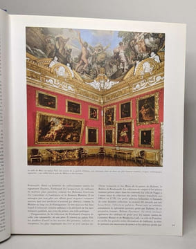 Le musée des offices et le palais pitti - la peinture à florence. Mina Gregori