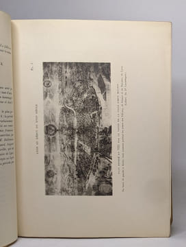 Histoire de lyon - tome II de 1595 à 1814. DUBOIS Kleinclausz A Dutacq