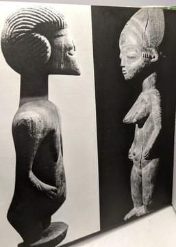 Les métamorphoses de l'humanité 10 volumes (voir description) La Sagesse L'universel La Barbarie La guerre sainte L'an mille Le temps des Cathédrales ...
