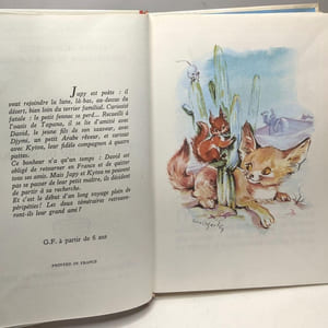 Japy petit renard du sahara / Rouge et Or dauphine