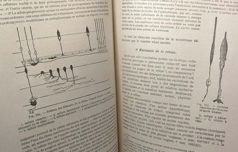 Traité élémentaire de physiologie - TOME 1 & 2. Gley (E.)
