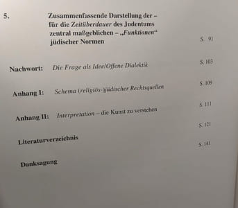 Zaun: Normen als Zaun um das jüdische Volk. Zum Phänomen der Zeitüberdauer des Judentums (rechts- /sozialphilosophische Studie)