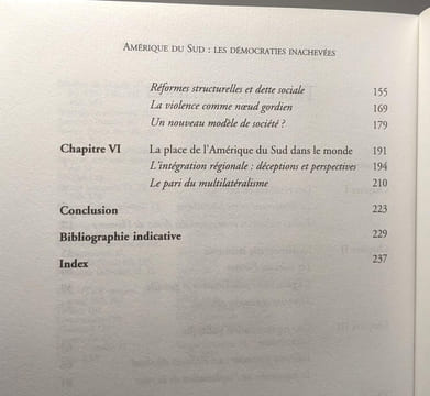 Amérique du Sud : les démocraties inachevées. Artigas Alvaro Cauchy Pascal