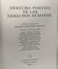 Derecho positivo de los derechos humanos. Peces-Barba Llamas