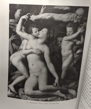 Renaissance perspectives in literature and the visual arts. Roston Murray