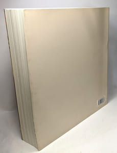 Domenico Beccafumi. Catalogo. Ediz. illustrata (Cataloghi di mostre)