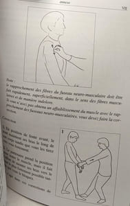 (re)créer votre couple avec la kinésiologie