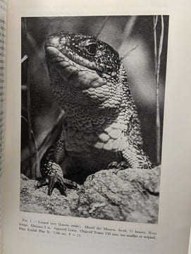 1969 la photographie et le naturaliste. Vanden Eeckhoudt J.p Delvosalle Matagne Bille Bremer Mommaerts