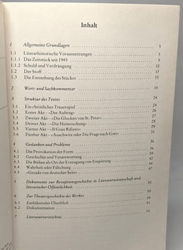 Grundlagen und Gedanken zum Verständnis des Dramas Der Stellvertreter. Balzer Bernd