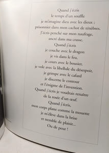 Fernando arrabal vue à travers l'objectif de Felipe Ferré - exemplaire n°327