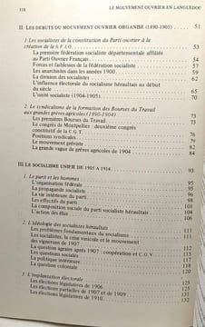 Le mouvement ouvrier du languedoc : syndicalistes et socialistes de l'herault de la fondation des bourses du travail à la naissance du parti ...