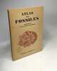 Atlas des fossiles - fascicule I II III : 1/ fossiles primaires et triastiques 2/ fossiles jurassiques et crétaciques 3/ fossiles tertiaires et ...