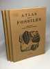 Atlas des fossiles - fascicule I II III : 1/ fossiles primaires et triastiques 2/ fossiles jurassiques et crétaciques 3/ fossiles tertiaires et ...