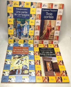 17 livres librio (voir description): Le pauvre nouveau est arrivé bréviaire de la gueule de bois cristal qui songe fille de sans chili incarné ...
