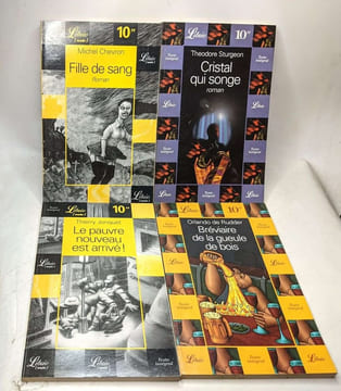 17 livres librio (voir description): Le pauvre nouveau est arrivé bréviaire de la gueule de bois cristal qui songe fille de sans chili incarné ...