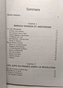 Destins et aventures de l'intellect juif en France 1650-1945