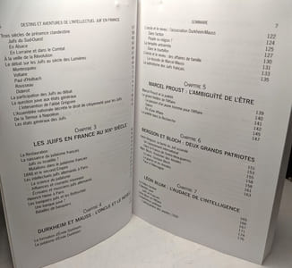 Destins et aventures de l'intellect juif en France 1650-1945