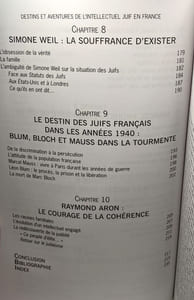 Destins et aventures de l'intellect juif en France 1650-1945