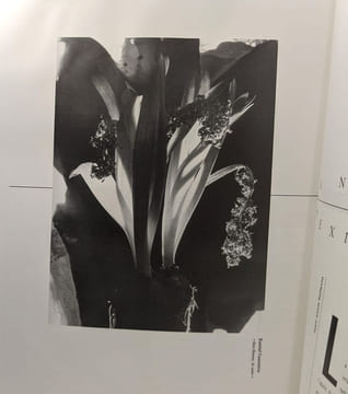 2e mois "Off" de la photographie à Paris. Collins Gay Debray Morice Poitevin Soulages Caujolle leterrier Moineau Dobbels Monnin