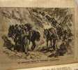 Kriegsnummer - Die Wochenschau - ANNEE 1917 - du numéro 1 au numéro 52 (numéro 32 manquant). 